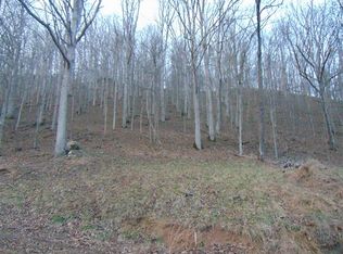 O Rowels Run, Mt Zion, WV 26151