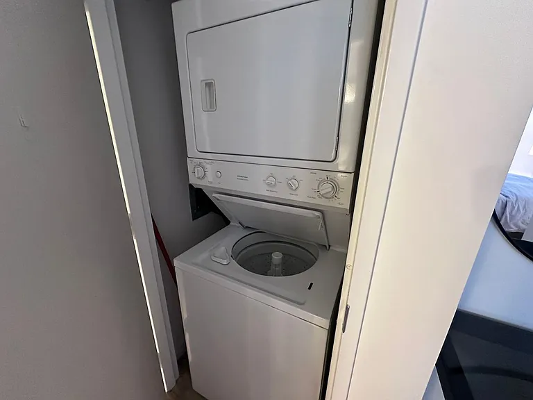 510 W Erie St #1103 — Photo 6
