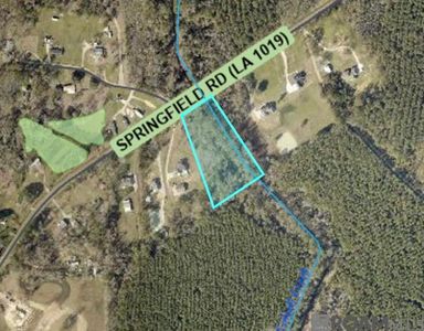 Tba La Hwy #1019, Walker, LA, 70785