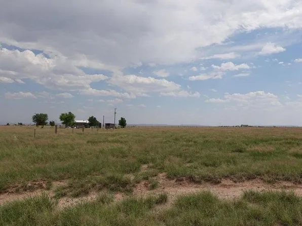 15&16 Cricket Lot Ln, Estancia, NM 87016