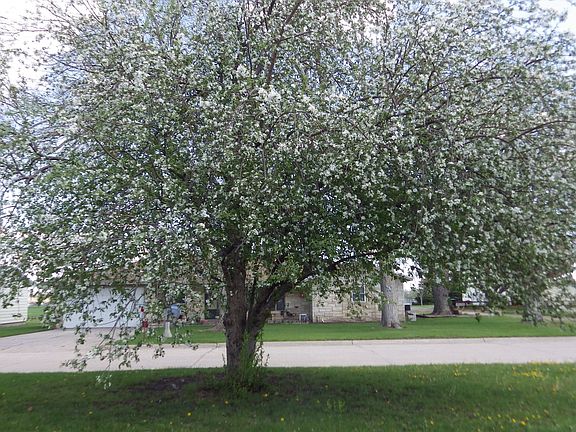 Landscaping,Toro sprinklers 