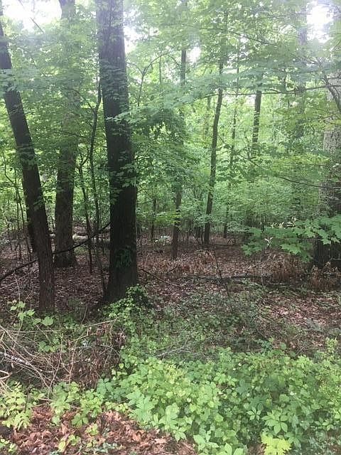 1st image of 0 Davis Dr Lot 21