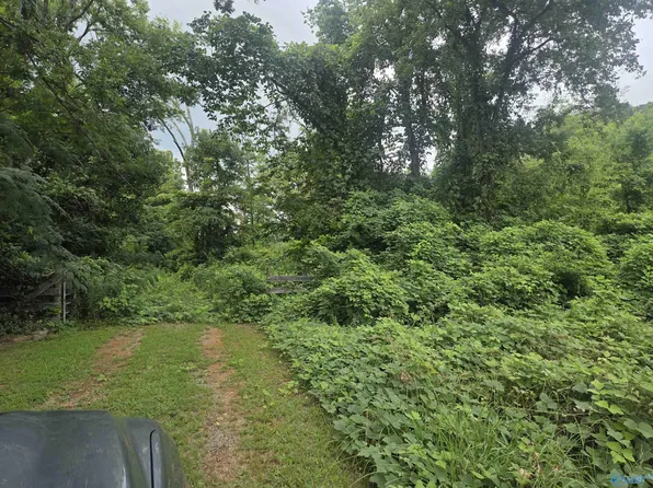 Gum Springs Rd, Hartselle, AL 35640