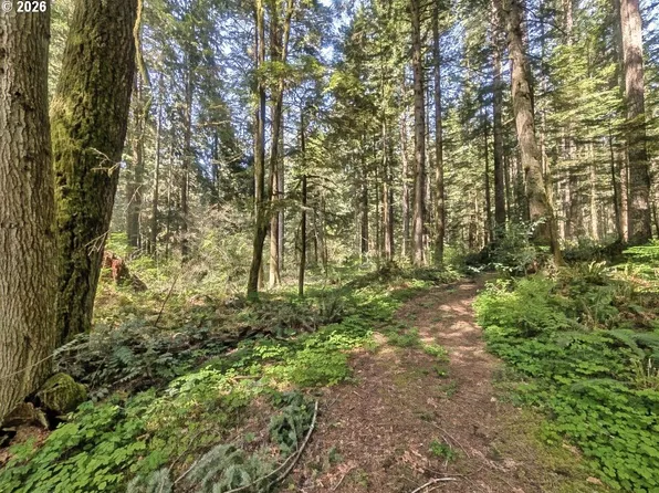 62955 E Mountain Country Ln, Brightwood, OR 97011