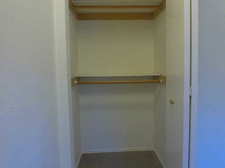 Closet 1 in primary