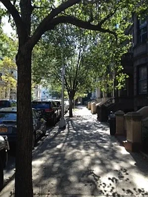 Rented by A D Shaye Realty Group  | media 29