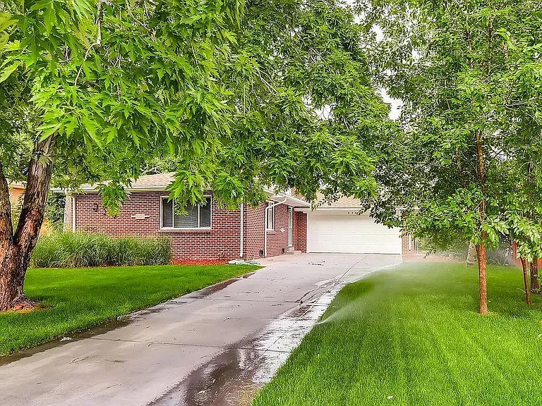 Front yard and driveway
