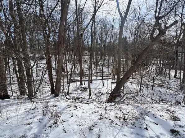 439 Alberta St Lot 80, Auburn Hills, MI 48326