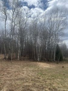 10 Mill Pond Rd #1, Trout Creek, MI, 49967
