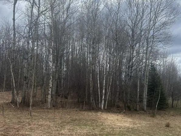 10 Mill Pond Rd #1, Trout Creek, MI 49967