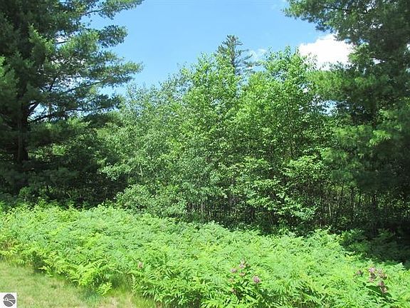 5th image of 63 White Pine Dr