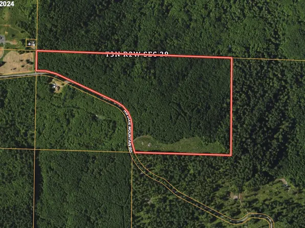 NW Dixie Mountain Rd, Scappoose, OR 97056