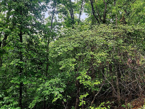 5th image of 0 Cedar Ln #42