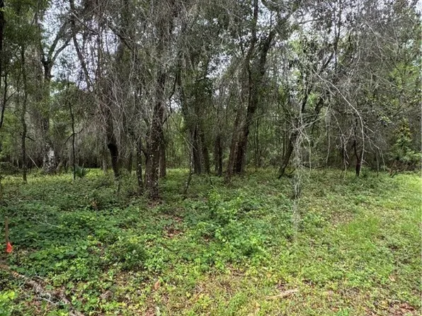 984 E Kingsdale St, Citrus Springs, FL 34434