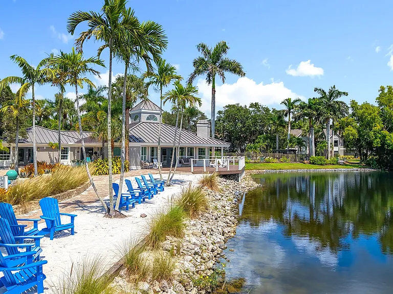 Soak up serene waterfront views from the private beach area featuring palm trees and lounge chairs.