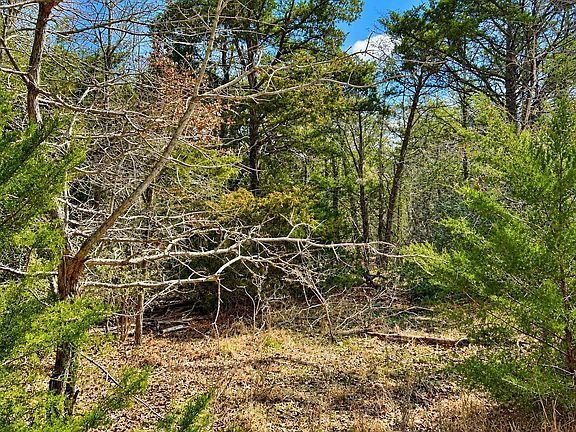 4th image of 1673 Lange Rd