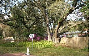 3rd image of 812 Amelia Dr
