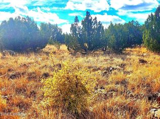 1916 Tee St, Show Low, AZ 85901