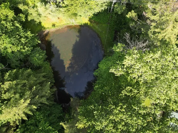 7300 Dillard Road, Scaly Mountain, NC 28775