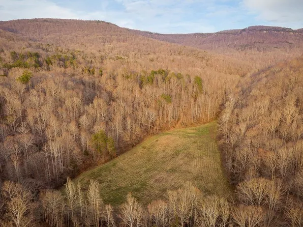 0 Buffalo Cove Ln, Jamestown, TN 38556