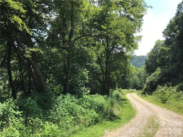 39 Ridge Top Cir, Clyde, NC 28721