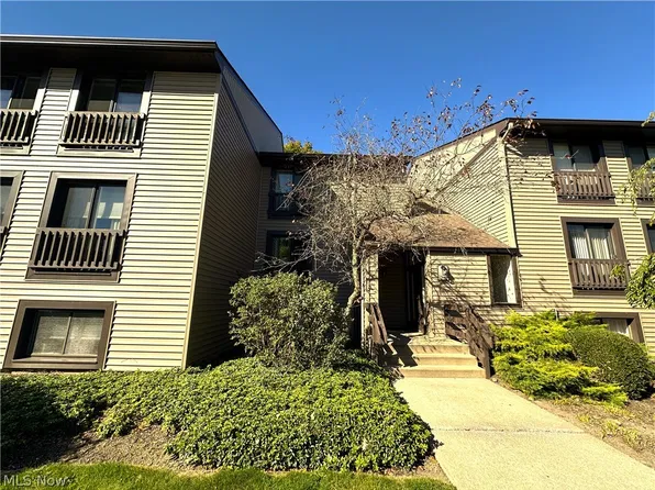 1105 Canyon View Rd, Northfield, OH 44067