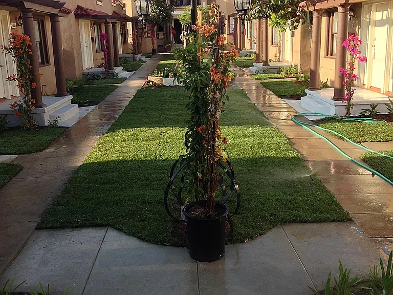 2 bed, 850 sqft, $2,395 — Photo 4