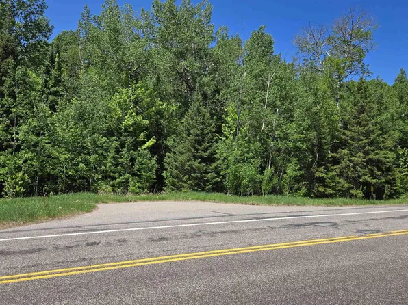 21 Nett Lake Rd, Orr, MN 55771
