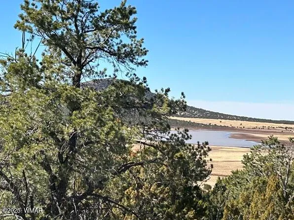 LOT 61 Stanford, Vernon, AZ 85940