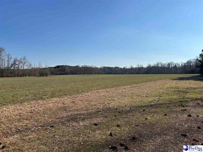 Highway 9, Clio, SC, 29525