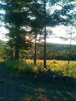 PROTECTED VIEW OVER MEADOW