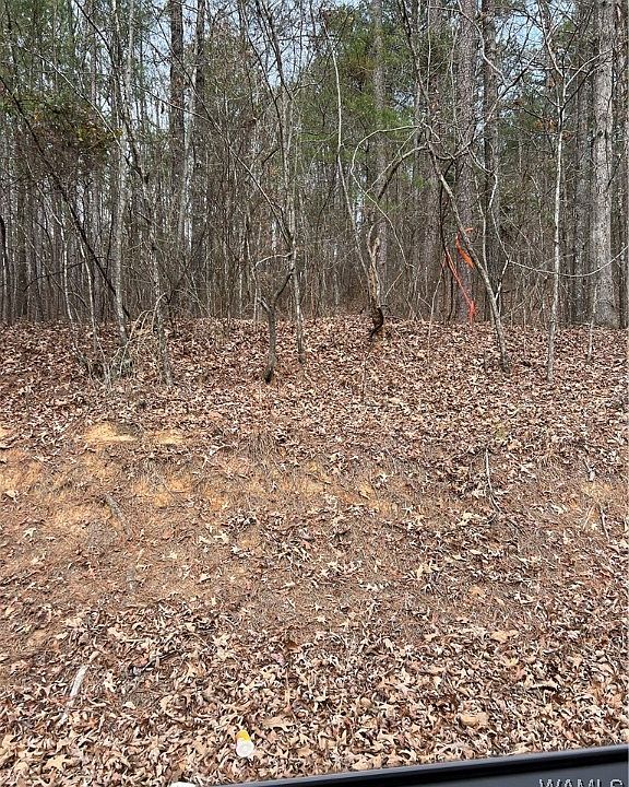 2nd image of 0 Monticello Ests