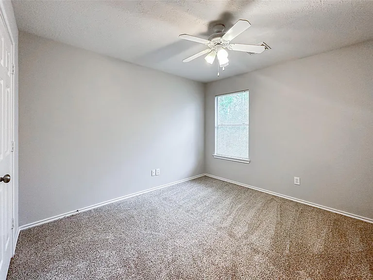 131 Anise Tree Pl — Photo 28