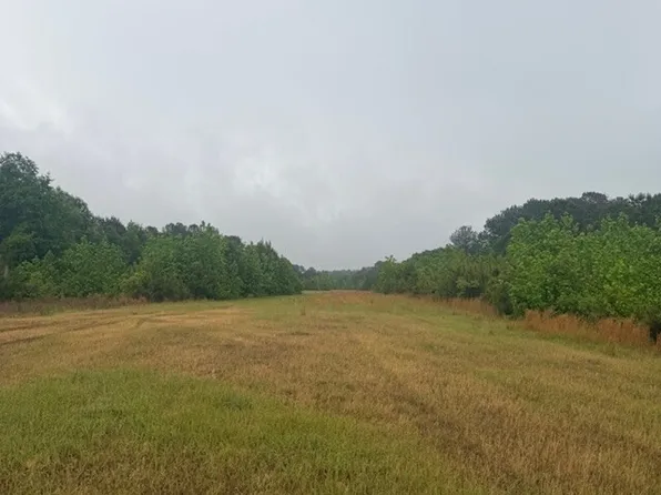 145/ACRE S George Smith Rd, Talbotton, GA 31827