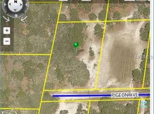 11175 Pigeon Ave, Weeki wachee, FL 34614