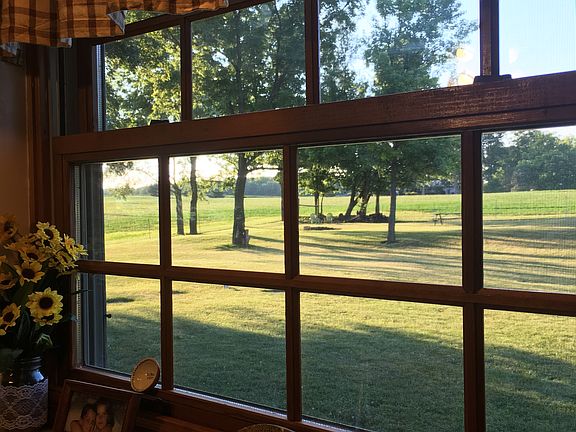  View from kitchen window 