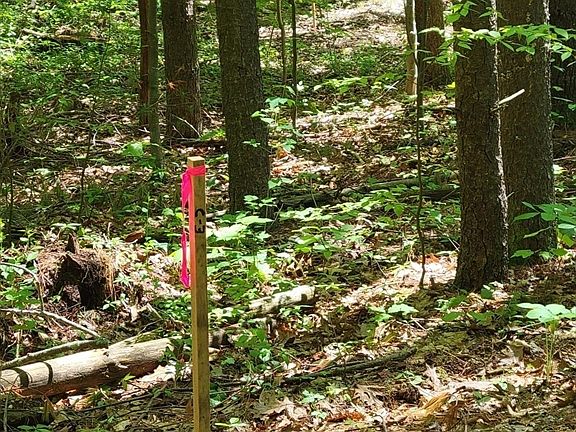 4th image of 5 Daniels Rd