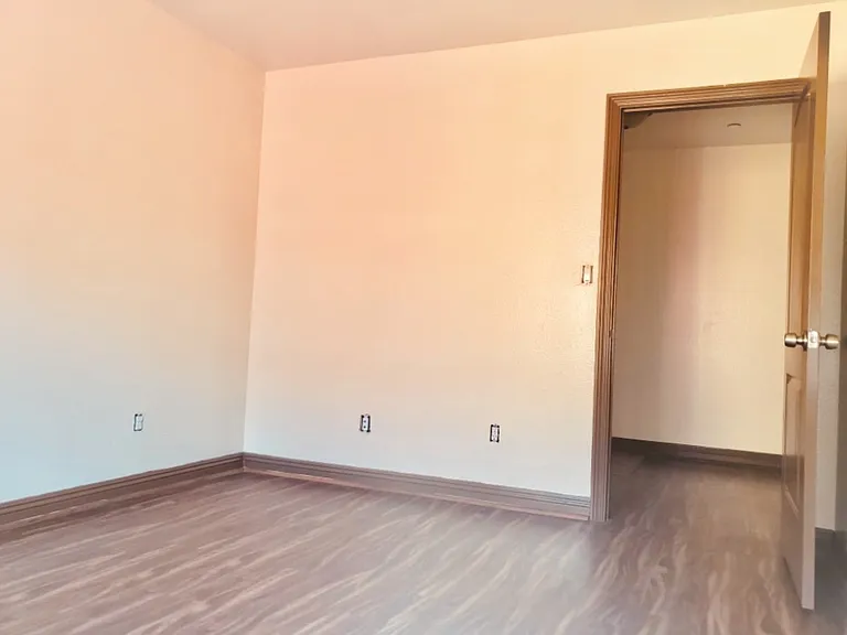 1343 E Adams Blvd — Photo 3