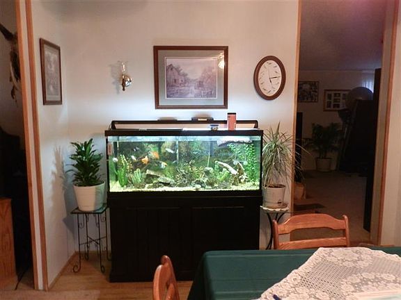 4th image of 2562 Benjamin Dr