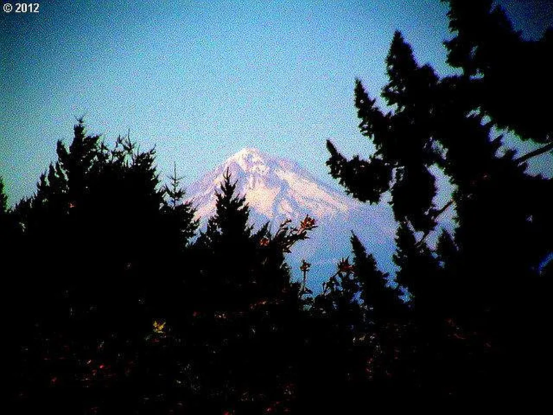 Thumbnail 13