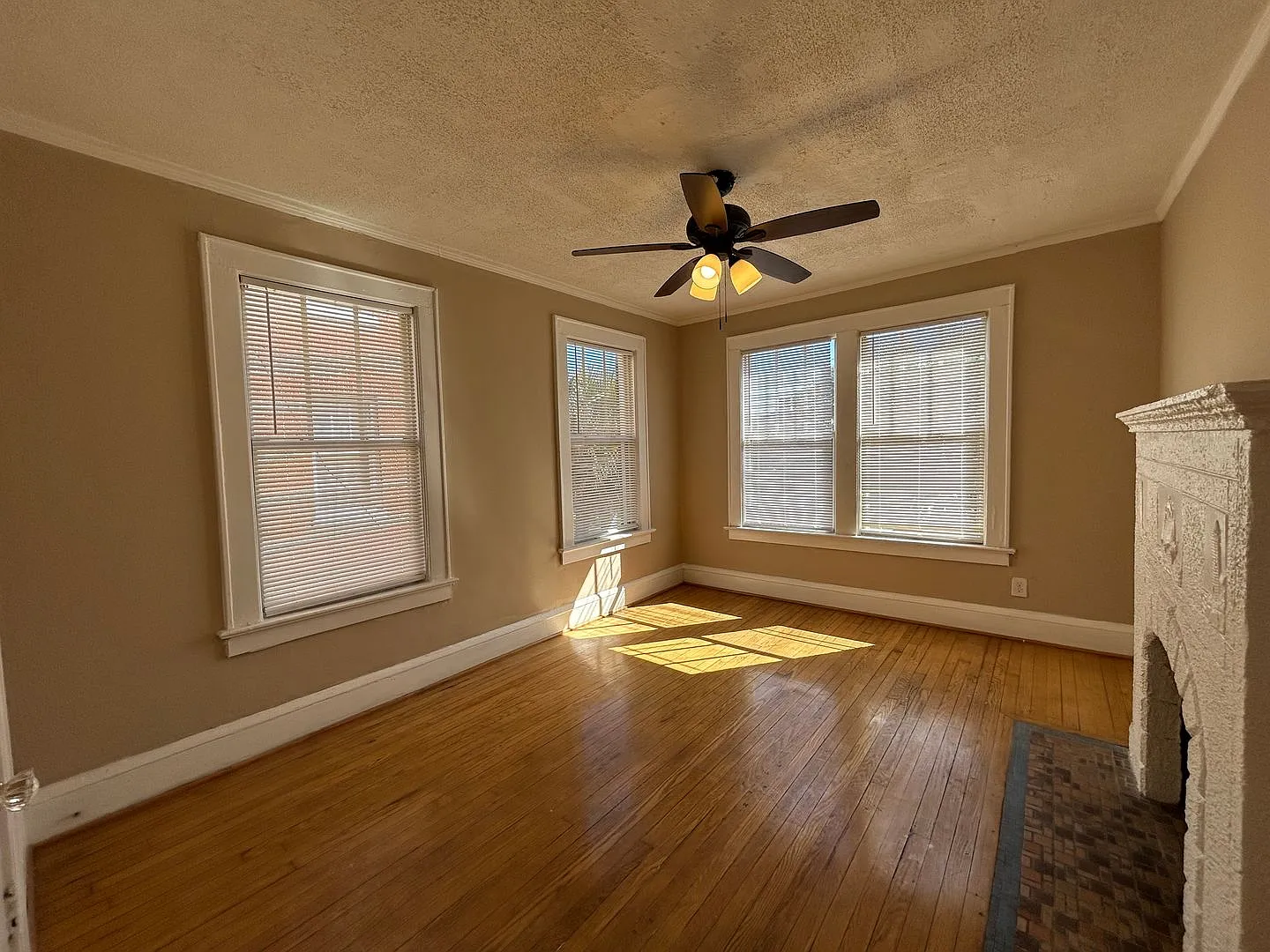College St 2623 — Photo 3