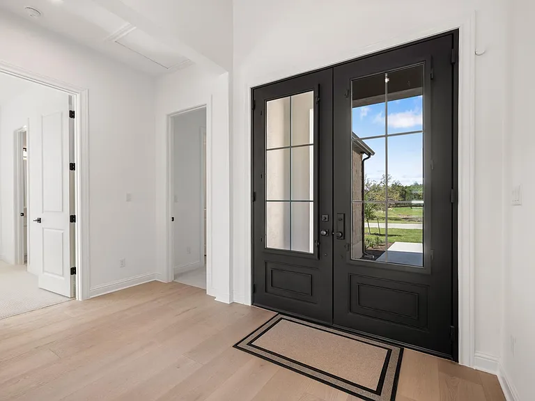 Black Iron and Glass Front Door