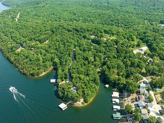 2nd image of Chestnut Rd