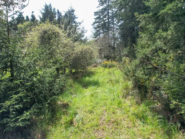 87768 Bill Creek Ln, Bandon, OR 97411