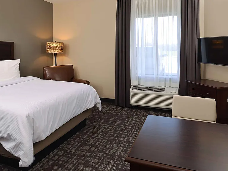 Studio Suite - 1 Queen Bed