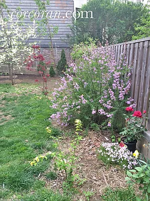 Sold by Corcoran | media 22