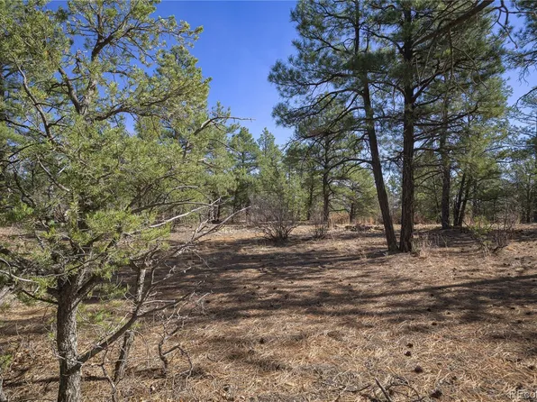 Rancho La Garita Lot 1129, Weston, CO 81091