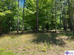 309 Marina Point Ln, Falls Of Rough, KY 40119