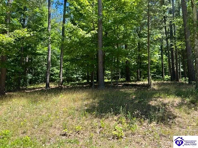 309 Marina Point Ln photo 1