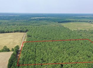 2 County Road 1459, Linden, TX 75563